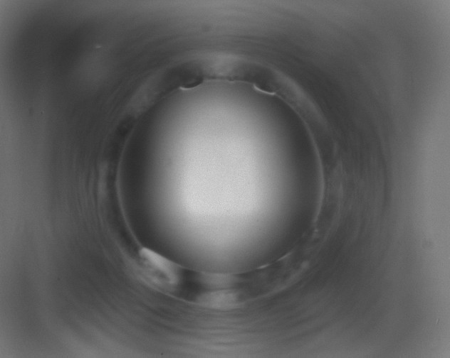 X0000083530217200702091015