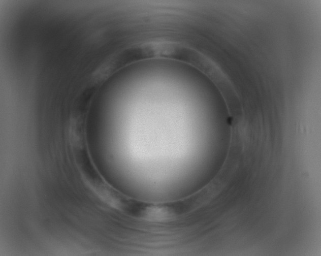 X0000083530218200702091015