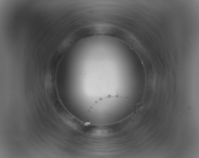 X0000083530220200702091015