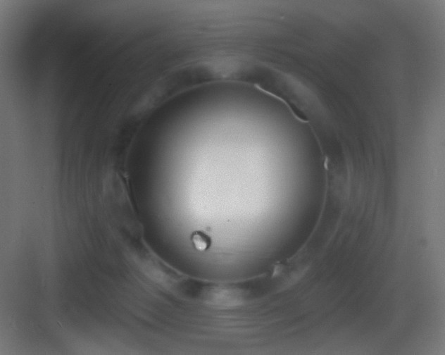 X0000083530221200702091015