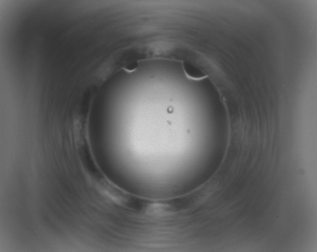 X0000083530222200702091015