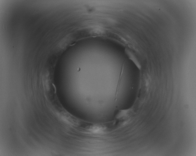 X0000083530223200702091014