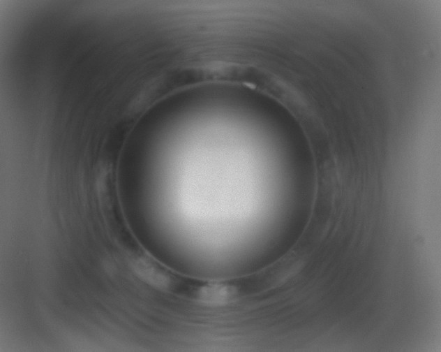 X0000083530225200702091014