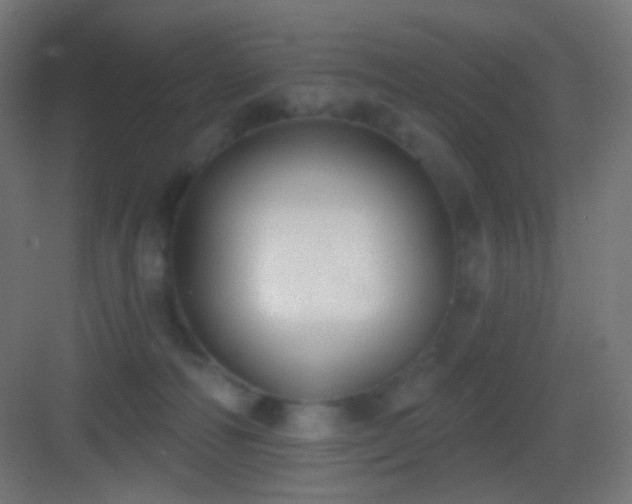 X0000083530226200702091014