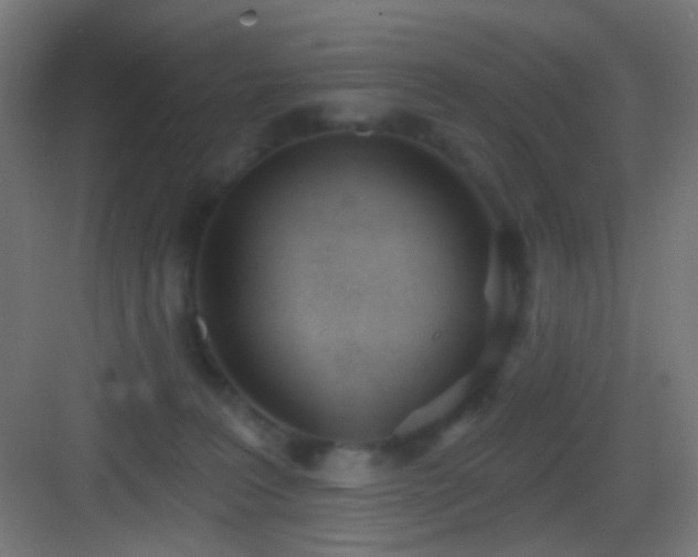 X0000083530227200702091014