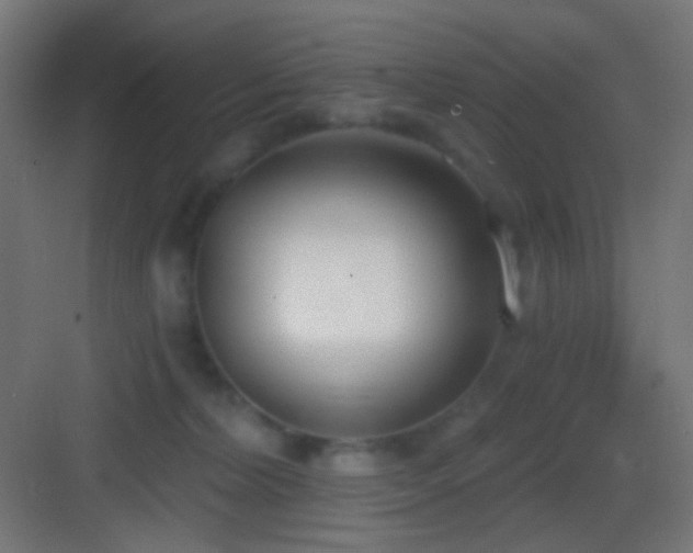 X0000083530228200702091014