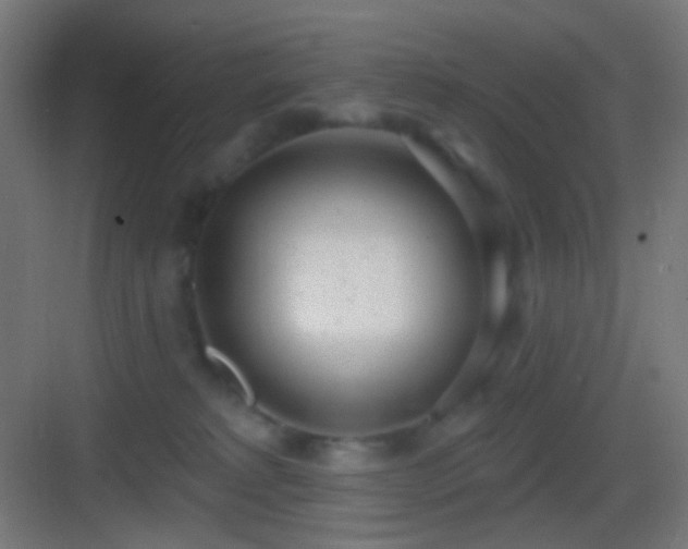 X0000083530229200702091014