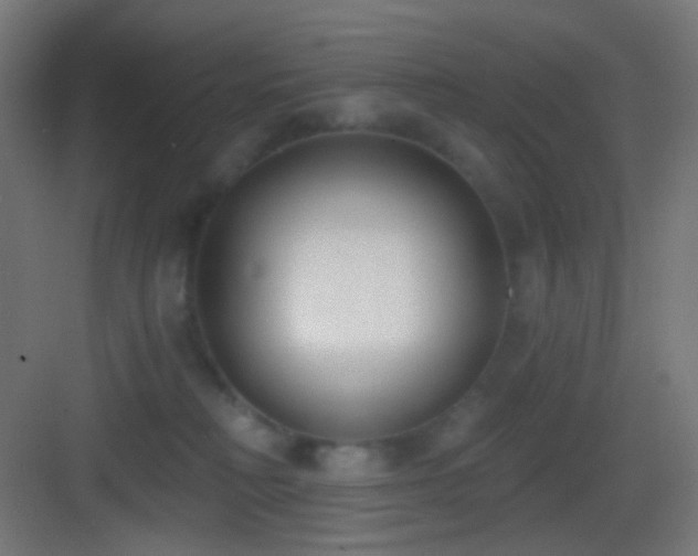 X0000083530230200702091014