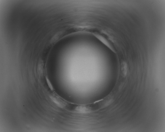 X0000083530231200702091014