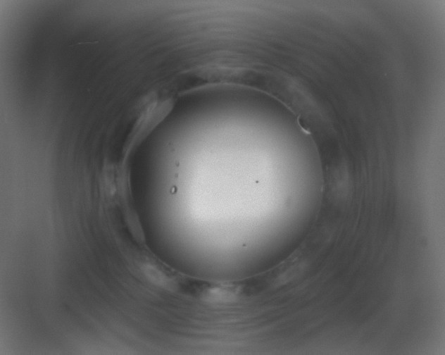 X0000083530232200702091014