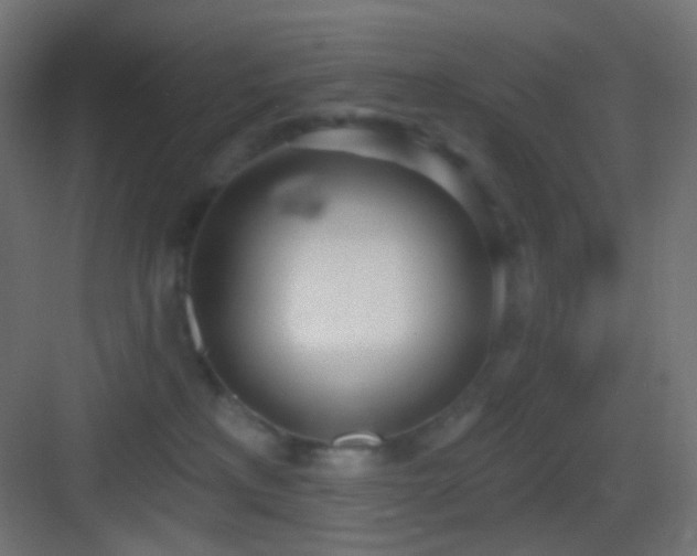 X0000083530233200702091014