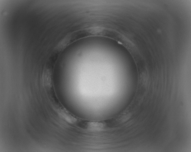 X0000083530234200702091014