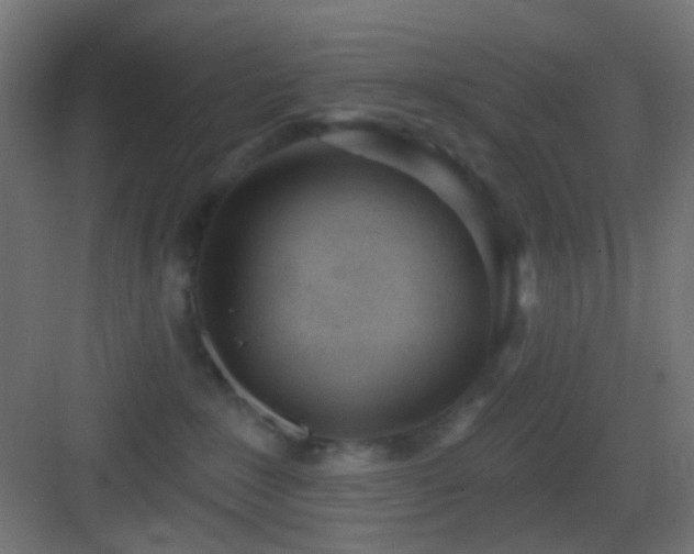 X0000083530235200702091014