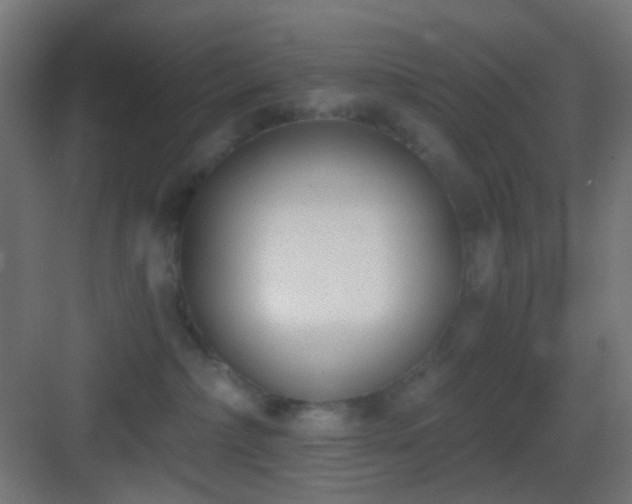 X0000083530236200702091014