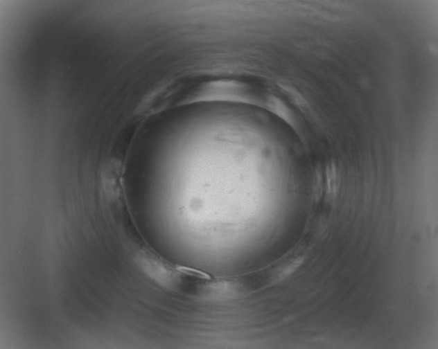 X0000083530237200702091014