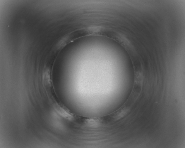 X0000083530238200702091014