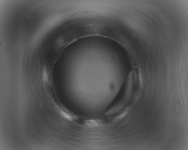 X0000083530239200702091014