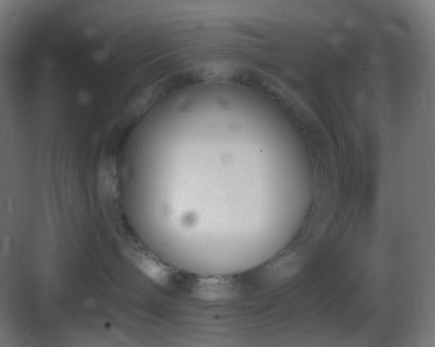 X0000083530240200702091014