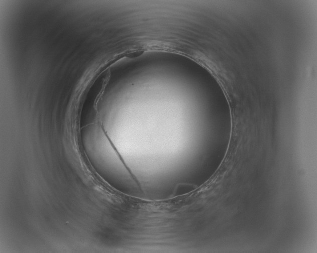 X0000083530241200702091013