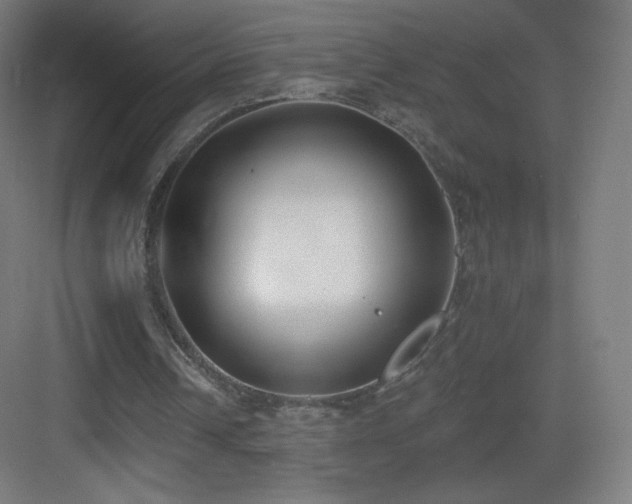 X0000083530242200702091013