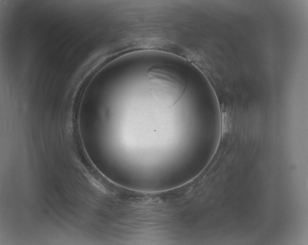 X0000083530243200702091013