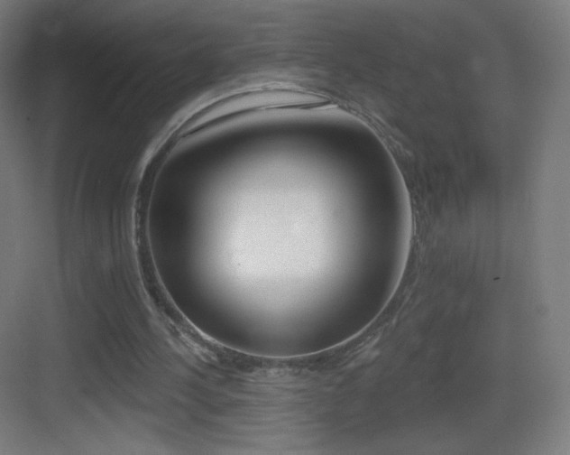 X0000083530244200702091013