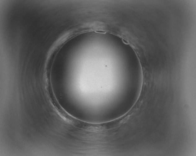 X0000083530245200702091013