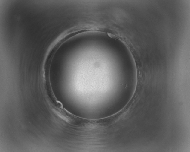 X0000083530246200702091013