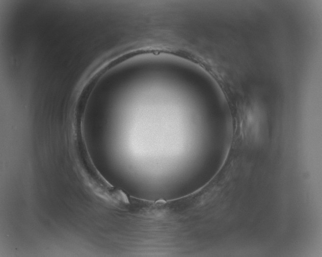 X0000083530247200702091014