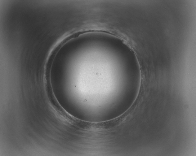 X0000083530248200702091014