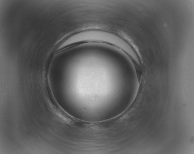 X0000083530249200702091014