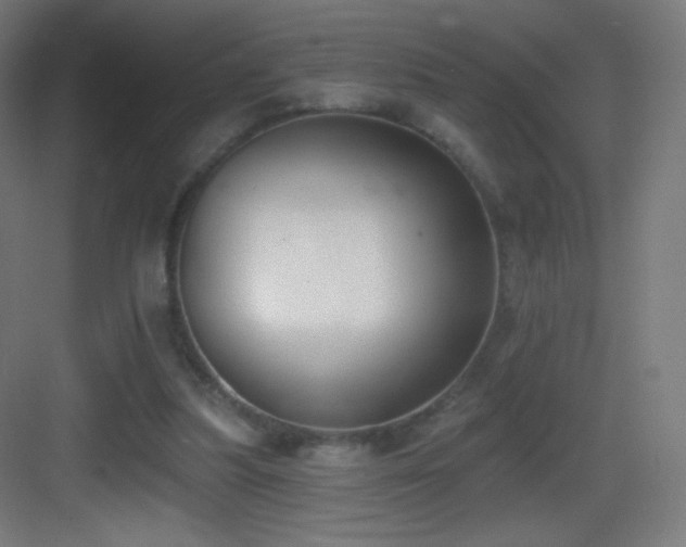 X0000083530251200702091014