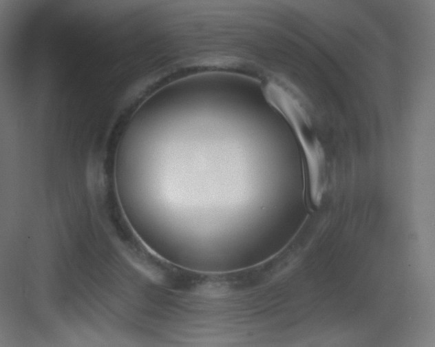 X0000083530252200702091014