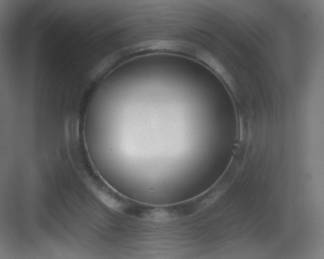 X0000083530253200702091014