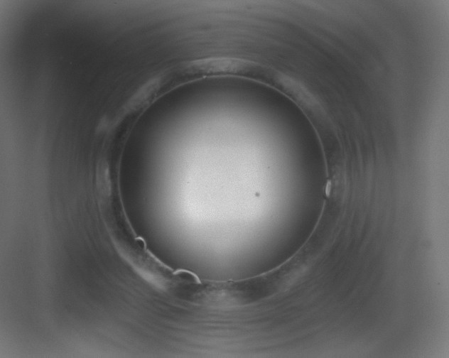 X0000083530254200702091014