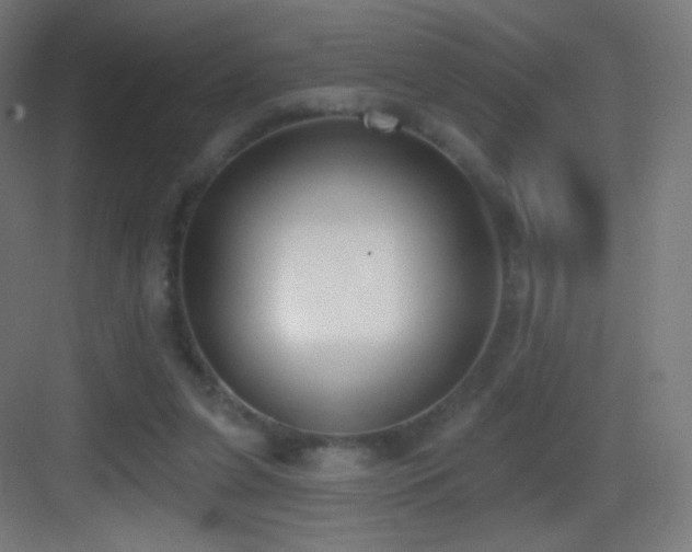 X0000083530255200702091014