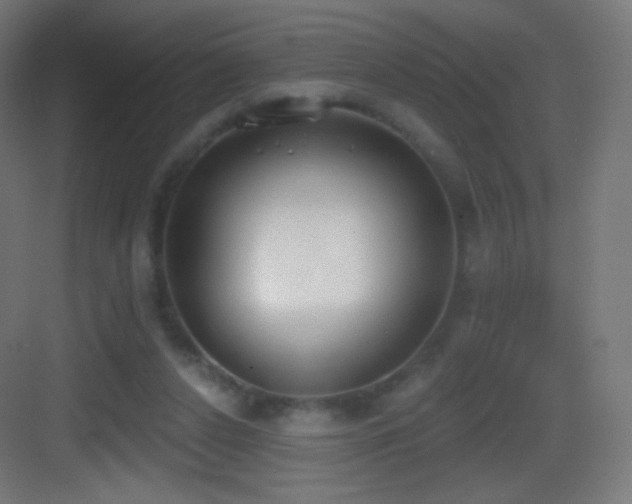 X0000083530256200702091014