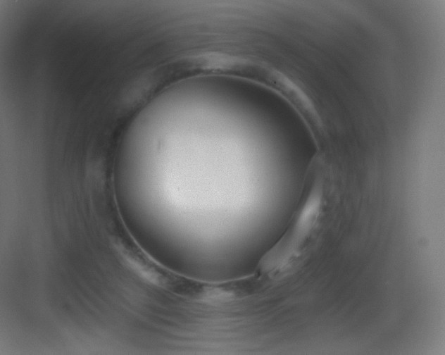 X0000083530257200702091014