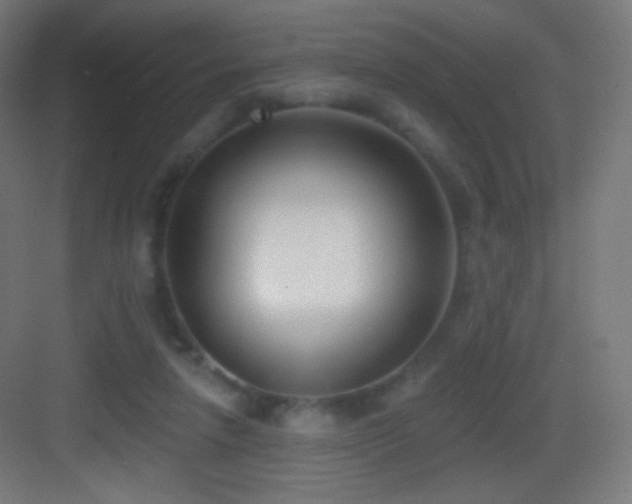 X0000083530258200702091014