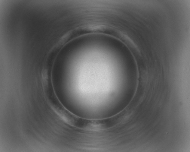 X0000083530260200702091014