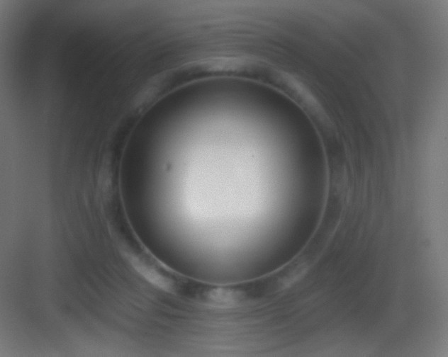 X0000083530261200702091014