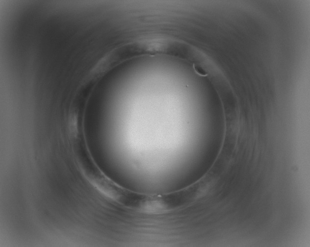 X0000083530262200702091014