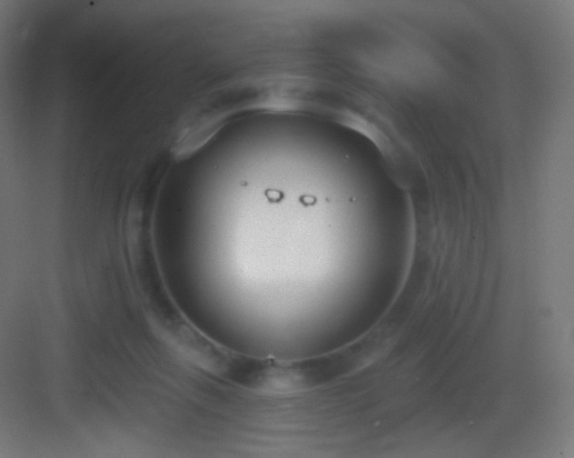 X0000083530263200702091014