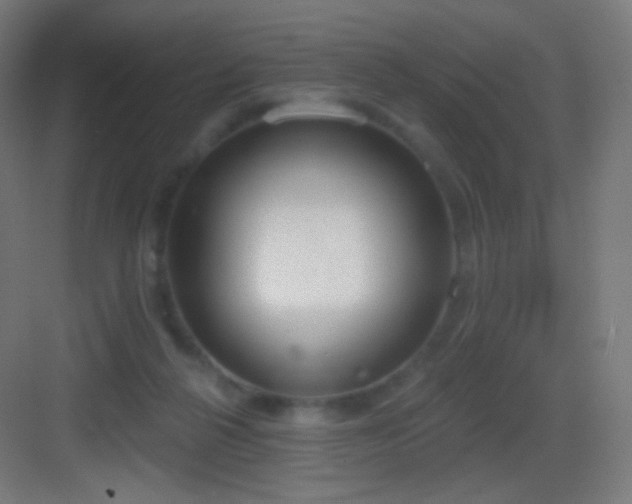 X0000083530264200702091014