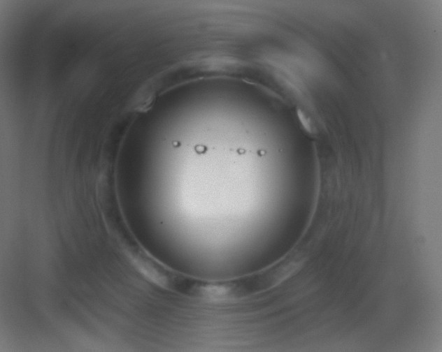 X0000083530265200702091014