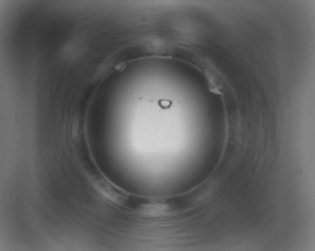 X0000083530266200702091014