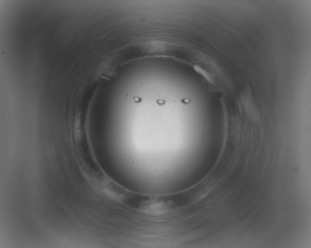 X0000083530267200702091014