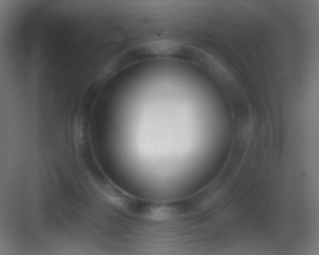 X0000083530268200702091014