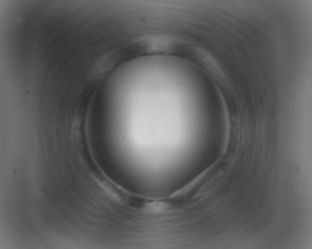 X0000083530269200702091014