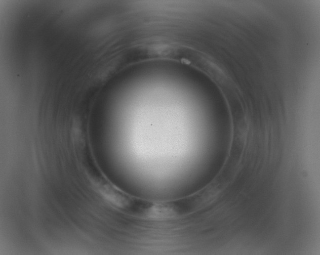 X0000083530270200702091014